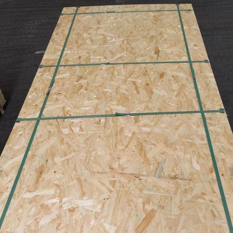 Wasserabweisende OSB-Platte Home Depot OSB3 9,5 mm 11,1 mm 18 mm Spanplatte für den Bau